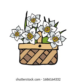 Vektorillustration Freehand Zeichnung eines Korbes mit Narzissen einzeln. Spring Doodle. Farbzeichnung auf weißem Hintergrund mit Umriss.