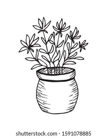 Vector freehand drawing black line on a white background. Beautiful flowers in a round pot, vase. Indoor and garden plants for home decor.