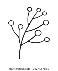 Vector dibujo a mano alzada de una rama con bayas. La planta es adecuada para los temas de Año Nuevo, Navidad y Halloween. Ilustración sobre un fondo aislado. EPS10
