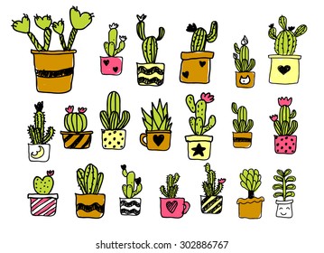 vector freehand drawing cactus and succulent  for background and pattern