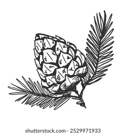 Vector A mano alzada un garabato de cono de abeto aislado sobre fondo blanco. Textura de los materiales de escritura. Manuscritos garabatos de Navidad y trazos de lápiz. 