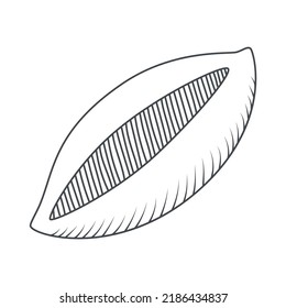 Vector freehand illustration of a cocoa been, coffee seed for restaurant and cafe menues, prints, clothing, textile, any other decorations.