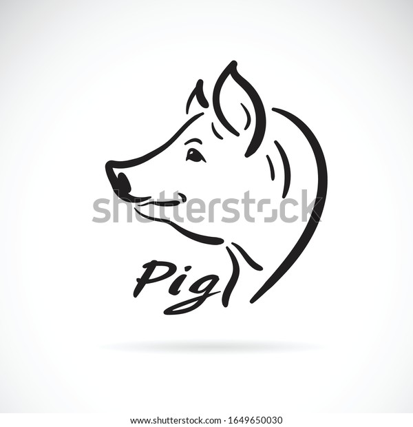 Vector Freehand Pig Head Painting On Stock Vector Royalty Free 1649650030