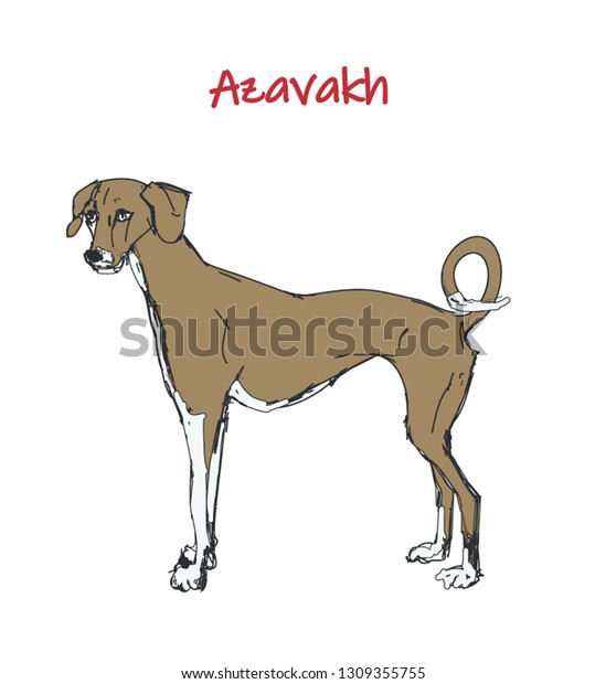 Vector Freehand Sketch Dog Stock Vector Royalty Free