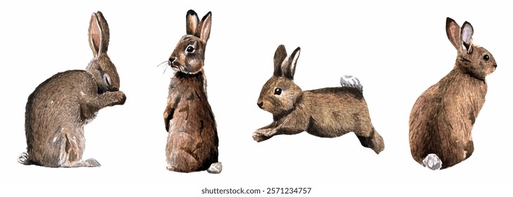 Vector freehand watercolor bunnys set isolated on white background. Hand drawn collection watercolour brown easter rabbits, egg, spring bunnies cute fluffy pet, farmhouse animal. 