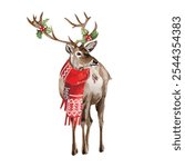 Vector freehand watercolor illustration of Christmas Deer isolated on white background. Hand drawn watercolour Reindeer painting. Design cards