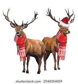 Ilustração em aquarela à mão livre de vetor de veados de Natal isolados no fundo branco. Mão desenhado aquarela Reindeer pintura. Cartões de design