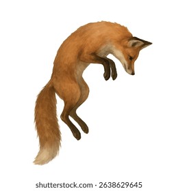 Vector freehand watercolor illustration of a jumping Fox isolated on a white background. Hand drawn Foxy watercolour for design, foxiness logo, postcards, posters and digital projects