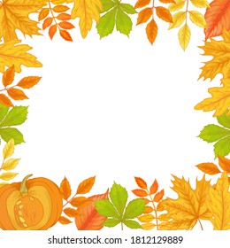 Vector freme template of various autumn leaves and pumpkin. Beautiful bouquet of yellow and red leaves, branches.