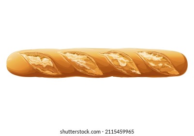 Vector French bread baguette. White long loaf. Rye whole grain baked bread. Logo, icon. sketch realistic line vintage illustration. Top view