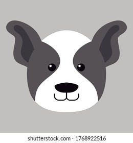
Vector french bulldog dog on gray background