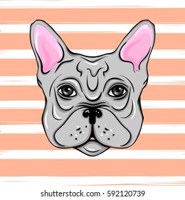 Vector French Bulldog. Illustration of a cute dog. Cartoon Animals. Funny pictures. 