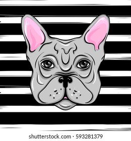 Vector French Bulldog. Illustration of a cute dog wit bow. Cartoon Animals. Funny pictures. Stylish print.