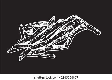 Vector french fries on black background, graphical fast food for design ,logo,typography of menu and cafes.