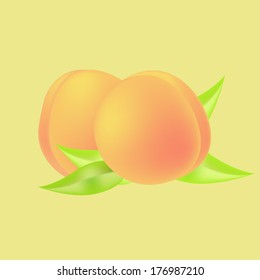 vector fresh appetizing peaches with leaves