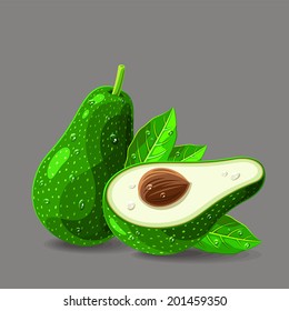 Vector fresh avocados with water drops. Vector illustration.