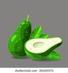 Vector fresh avocados with water drops without seed. Vector illustration.