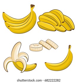 Vector fresh bananas. Peeled and sliced bananas, collection of sketch style vector illustration isolated on white background.