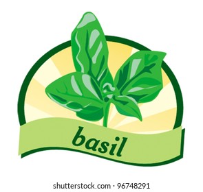 vector - Fresh Basil: Popular aromatic herb for seasoning salads, soups, meats, poultry, egg, cheese dishes, Italian, Asian & Mediterranean cuisines.