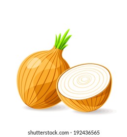 Vector fresh brown onions on white. Vector illustration.