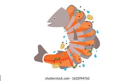 Vector fresh fish salmon sashimi