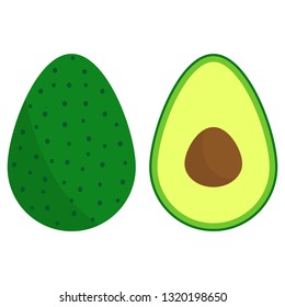 Vector fresh fruit avocado isolated on the white background