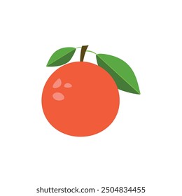 Vector de uvas frescas icono. Frutas de pomelo sobre fondo aislado blanco. Colección de rodajas de Vector de pomelo