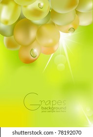 vector fresh grapes with drops of dew on a green background, with sunshine