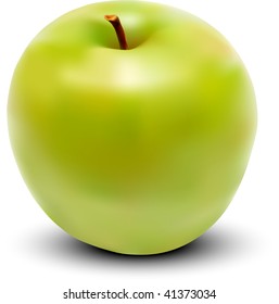 vector fresh green apple on white background