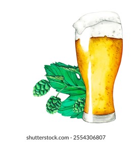 Vector. Fresh green hop. Glass of beer. Graphic hand drawn illustration for Octoberfest. Watercolor sketch for ornament or any design