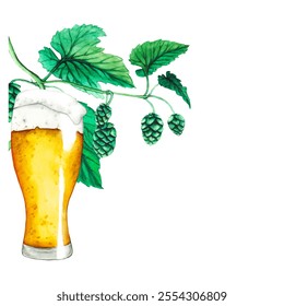 Vector. Fresh green hop. Glass of beer. Graphic hand drawn illustration for Octoberfest. Watercolor sketch for ornament or any design