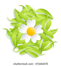 Vector Fresh green leaves and flower background. Spring concept