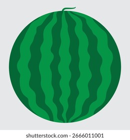 VECTOR OF FRESH GREEN WATERMELON, FULL ROUND WITHOUT CUTTING THE FRUIT 