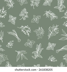 Vector fresh herbs pattern