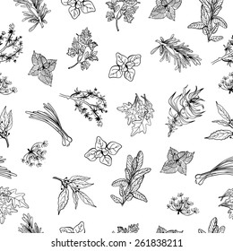 Vector fresh herbs pattern