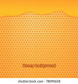 Vector fresh honey background