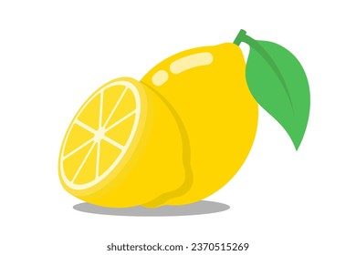 vector fresh lemon slice isolated white background