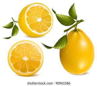 Vector. Fresh lemons with leaves.