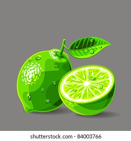 Vector fresh limes with water drops. Vector illustration.