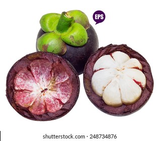 Vector fresh Mangosteen isolated on white background.The Queen of Fruit