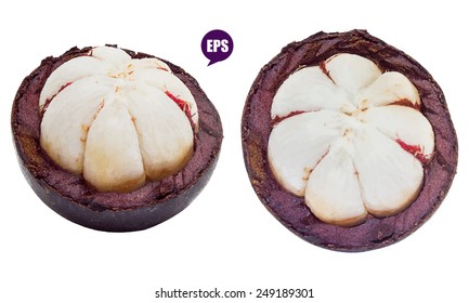 Vector fresh mangosteen isolated on white background.The Queen of Fruit