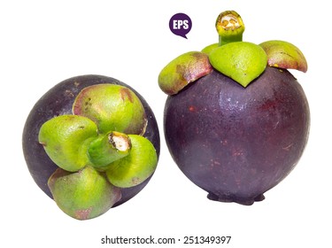 Vector fresh mangosteen isolated on white background.The Queen of Fruit