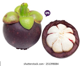 Vector fresh mangosteen isolated on white background.The Queen of Fruit