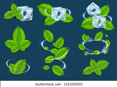 Vector Fresh Mint Leaf Set. Spearmint Herbal Plant Swirl, Peppermint Leaves And Ice Cubes.