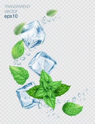 Vector Fresh Mint Leaves And Transparent Ice Cubes Isolated On A Light Background. Mint And Ice With Transparent Shadows