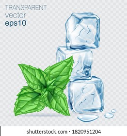 Hojas de menta frescas vectoriales y cubos de hielo transparentes aislados en un fondo claro. Casa de piedra y hielo con sombras transparentes
