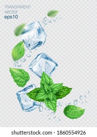 Vector fresh mint leaves and transparent ice cubes isolated on a light background. Mint and ice with transparent shadows