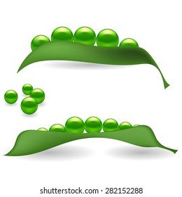 Vector Fresh Natural Green Peas Isolated on White Background