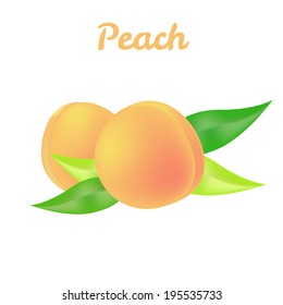 vector fresh nectarine peach for healthy diet illustration