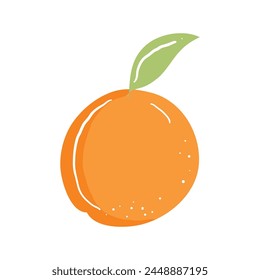 vector fresh orange fruit healthy on white background.